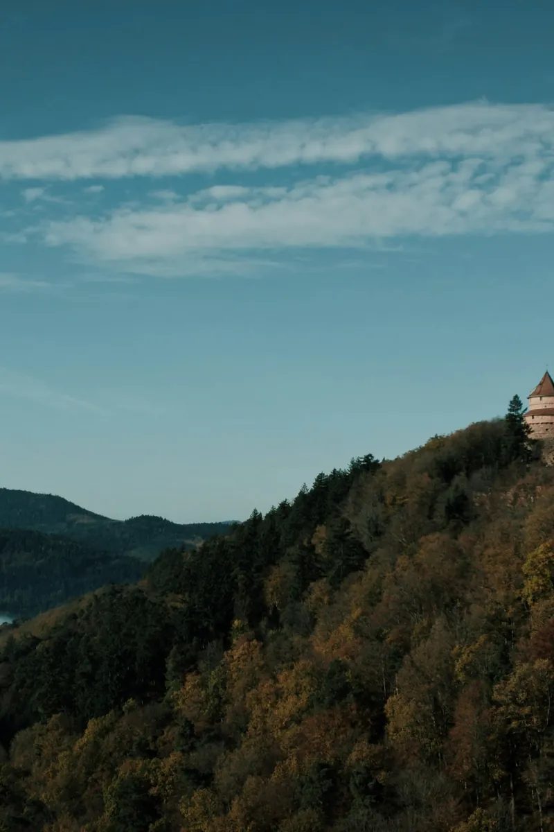 The Château du Haut-Kœnigsbourg crowning a forested Vosges ridge above the Alsace plain — pink-sandstone keep, round bastion and curtain walls catching low golden light. Orschwiller, Alsace, France.